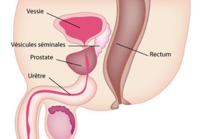 Crédit: L'Internaute