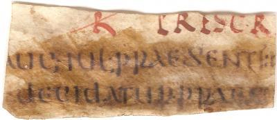This is one of fragments of parchment from the Gregorian Code. (Credit: UCL)