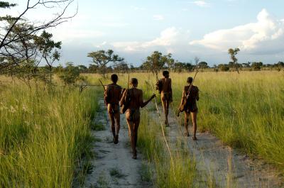 This image shows a group of hunters from the Ju/’hoansi tribe in the Namibian Bush. The indigenous hunter-gatherers of southern Africa, often referred to as Bushmen, represent the oldest known lineage of modern man. By sequencing the genomes of four Bushmen and one Bantu representative from Southern Africa, researchers led by Stephan Schuster at Penn State University in the United States and Vanessa Hayes at the University of New South Wales in Australia show that Bushmen have more genetic differences between each other than for example, do a European and Asian. The inclusion in current databases of the Bushman and Bantu genomes sequenced by Stephan Schuster et al. will ensure the inclusion of Southern Africans in medical-research efforts. Credit : Stephan C. Schuster, Penn State University