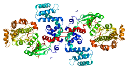 protéine GRK6 - image: Wikipedia