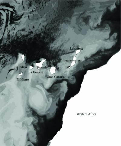 Les îles Canaries par satellite