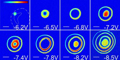 Ces images représentent l'énergie électrostatique générée par l'ajout d’électrons à un point quantique. Elles ont été prises à l’aide d’un microscope à force atomique. Credit: Département de physique, Université McGill