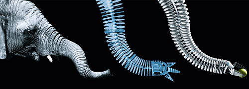 Biomechatronic footprint – from the natural model to the Future Concept @FESTO