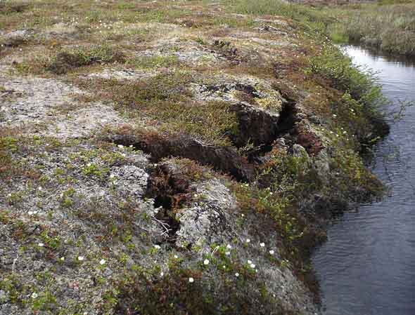  pergélisol de Storflaket en Suède