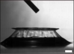 Instantané de la cinétique de repliement du film liquide qui aboutit à la formation d'un anneau composé de petites gouttes (barre : 1mm). © Adaptée de Bird et al. (2010)