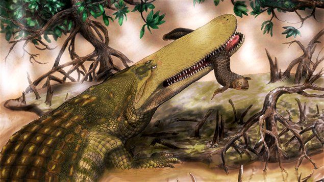 crocodile shieldcroc dinosaure