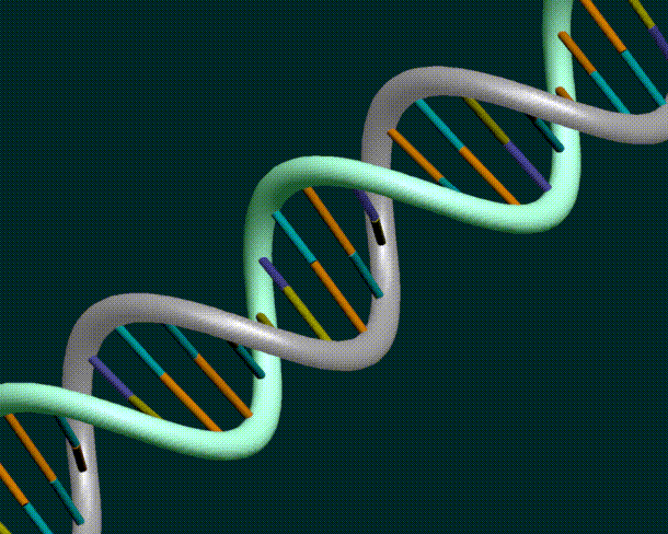 DNA