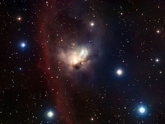 ESO PR Photo 1009a - Chauve-souris 