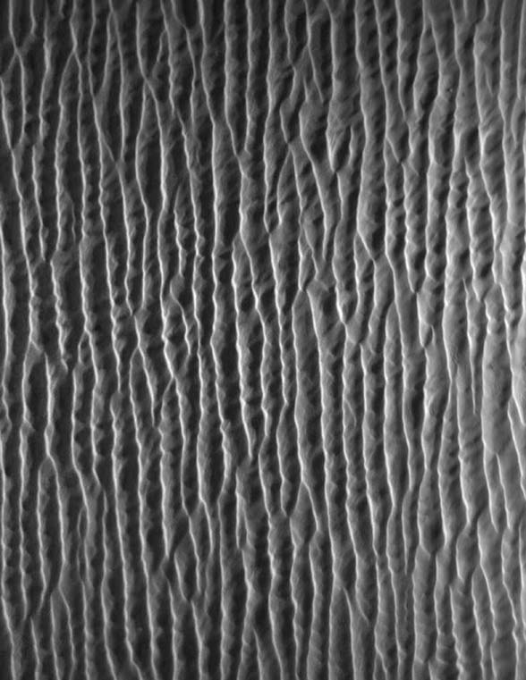Dunes longitudinales reproduites en laboratoire. La taille caractéristique des structures est le centimètre. © Laboratoire de matière et systèmes complexes (CNRS/Université Paris-Diderot-Paris7)