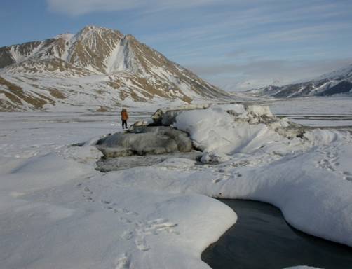 La source de Lost Hammer sur l’Île Axel Heiberg, Territoire du Nunavut, Canada. Crédit photographique : Département des sciences des ressources naturelles, Université McGill, Montréal.