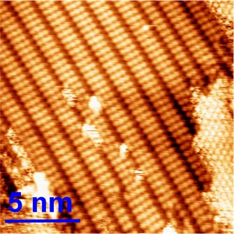 Image montrant les polymères créés à une résolution de cinq nanomètres (en comparaison, le cheveu humain a une largeur moyenne de 80 000 nanomètres) Source : Département de chimie, Université McGill