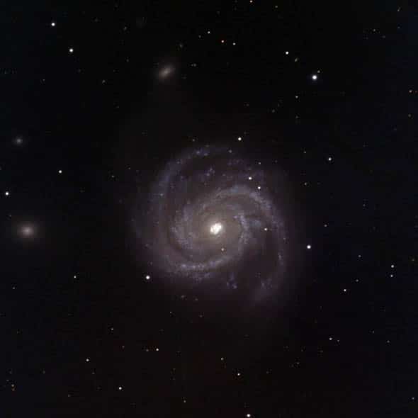 Galaxie M100 SN 1979C