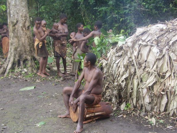 Pygmées Baka - Image: Africa-Edusa