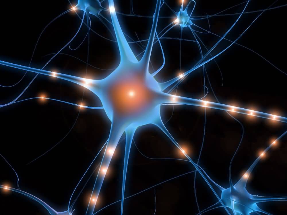 Neurone (représentation) - image: trikapalanet-fr.com