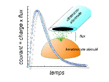 © Laboratoire “Processus d'Activation Sélective par Transfert d'Energie Uni-électronique ou Radiatif“ (UPMC / CNRS / ENS Paris) - Schéma du dispositif expérimental avec une ultramicroélectrode