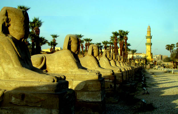 allée des sphinx