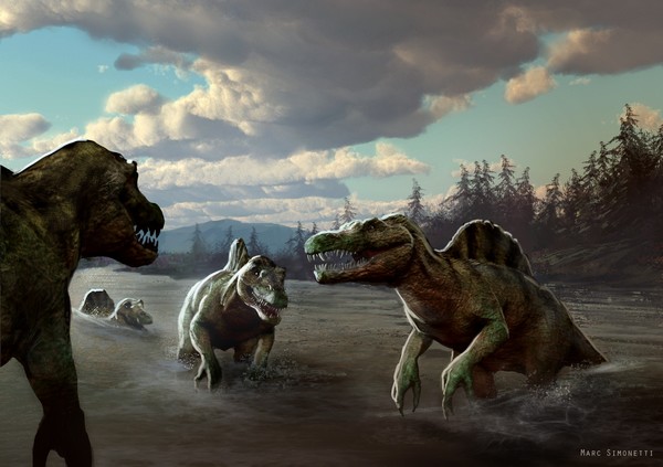 Les isotopes ont rendu leur verdict ! Les spinosaures étaient des animaux semi-aquatiques qui passaient la majeure partie de leur temps dans l'eau comme le font les hippopotames ou crocodiles actuels. © Marc Simonetti